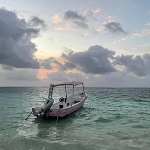 Gasthof Home's Jungle Puerto Morelos 20 Minutes From The Airport, Cancún